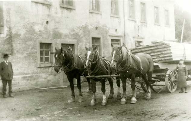 Bild 1907, Holztransport im Jahre 1907.