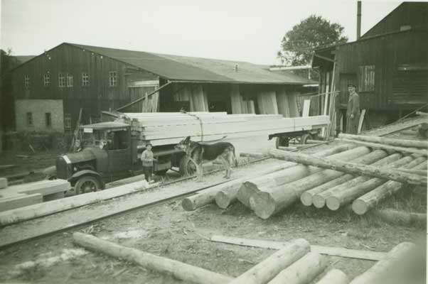 Bild 1932, die Schneidmühle
von Cranzahl aus gesehen.