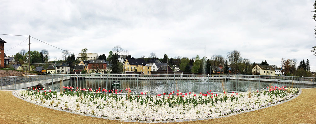 tulpenrondell am teich